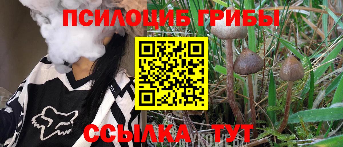 Галлюциногенные грибы прущие грибы Ступино